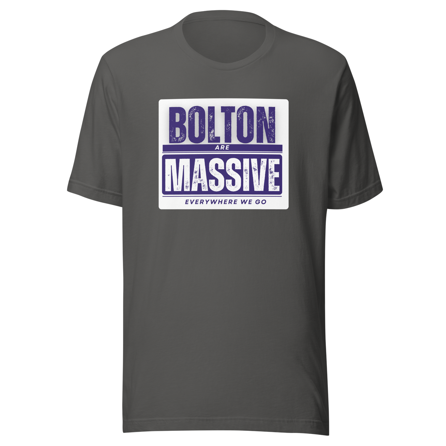 Bolton Wanderers fan 'Massive' design