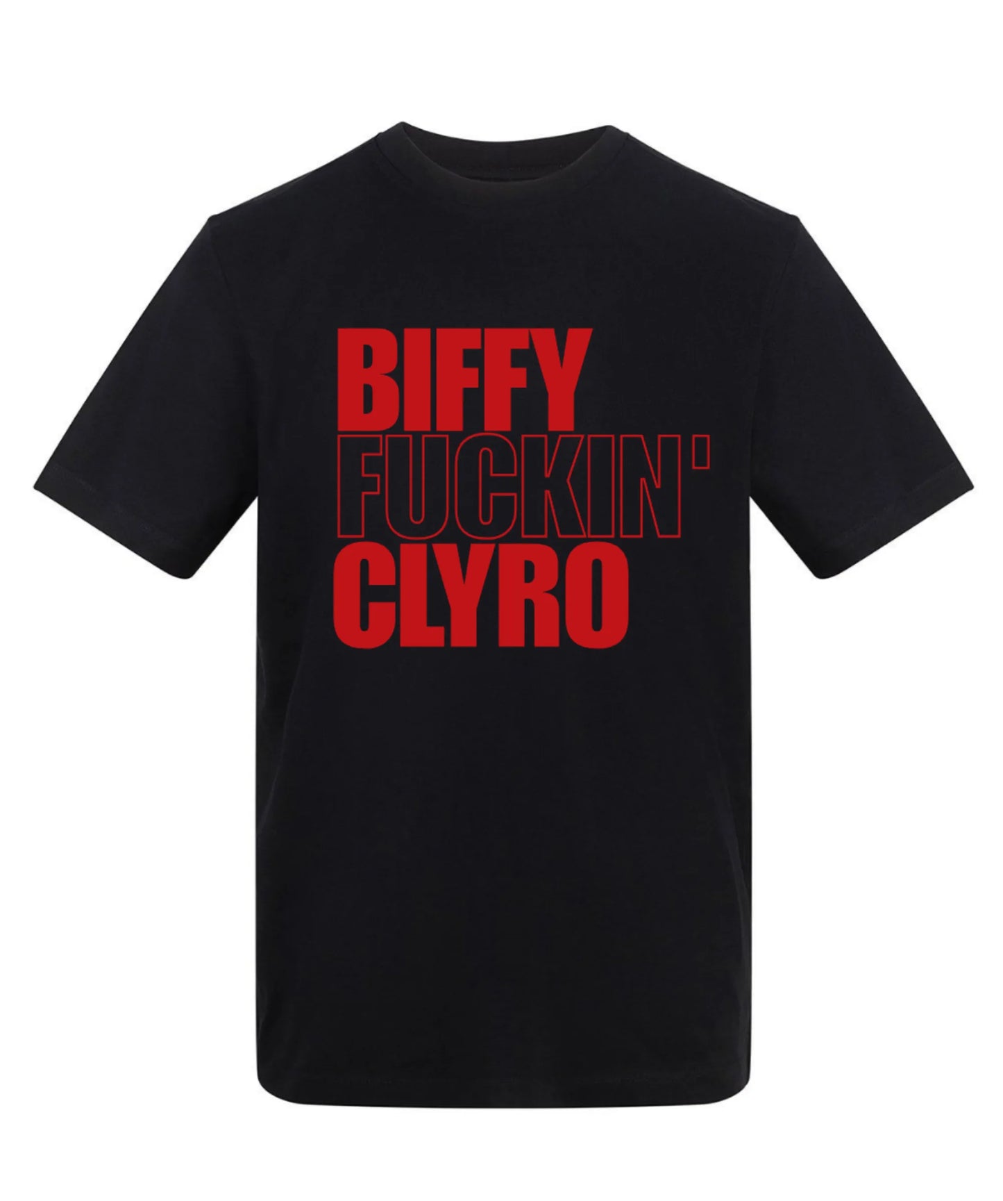 Biffy Fuckin' Clyro t-shirt