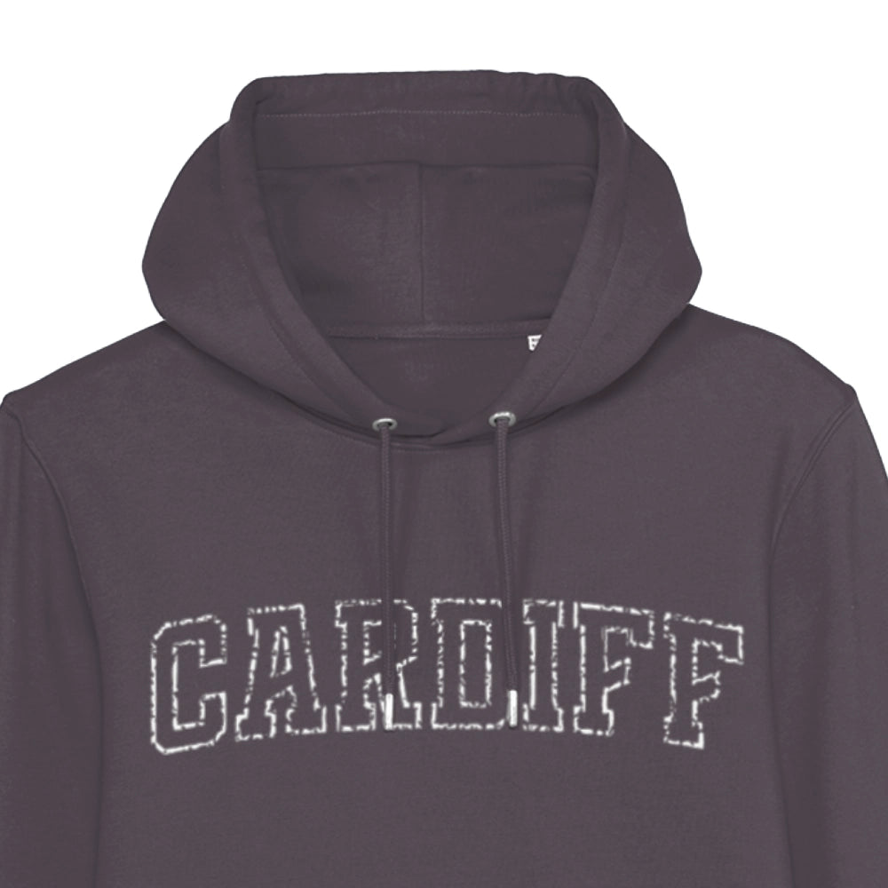 Cardiff city varsity hoodie