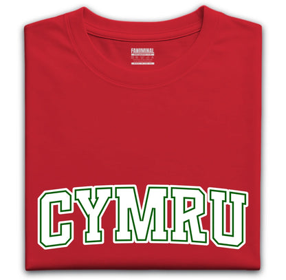 Crys-t Cenedl Cymru