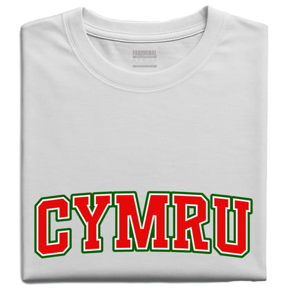 Crys-t Cenedl Cymru