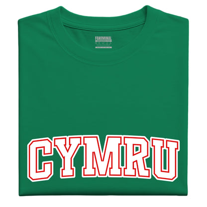 Crys-t Cenedl Cymru