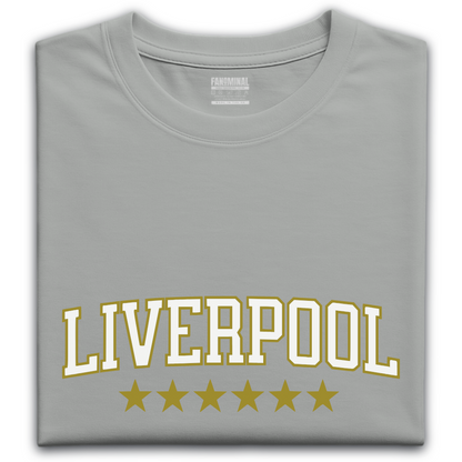 Liverpool stars t-shirt